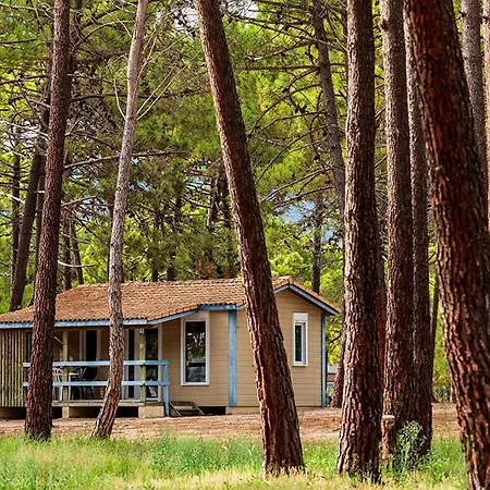 Golfo Di Sogno Campsite